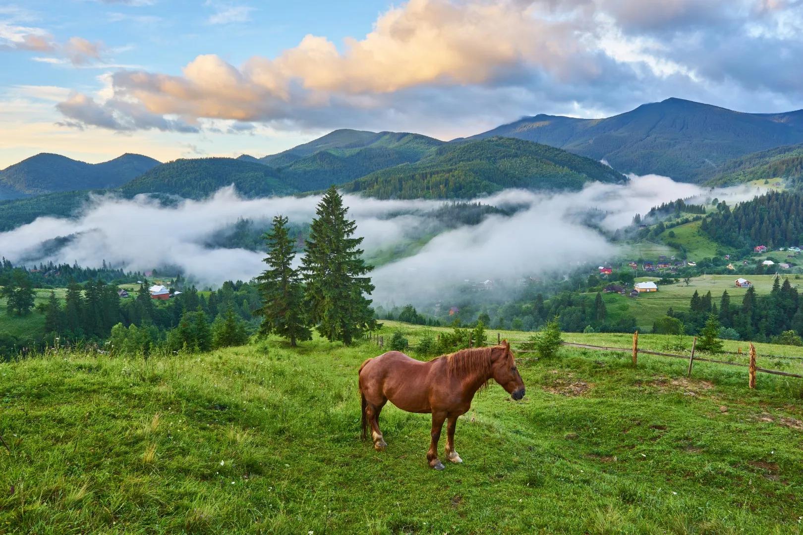 Bieszczady Mountains